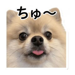 riho._20260508173655