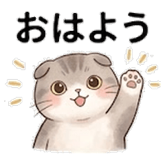Scottish Fold Stickers | Folded Ear Cat