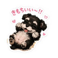 My puppy_20260508173826