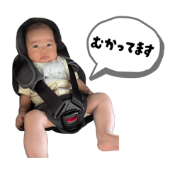 Mado_20260508174229