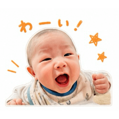 SHIMIZU_20260508173825