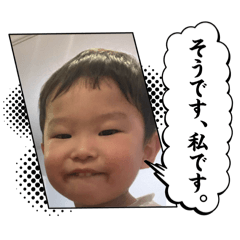 tomo_20260508175506