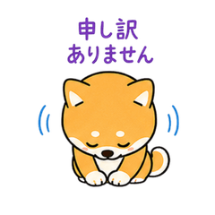 Shiba Inu Apology  Trouble Response