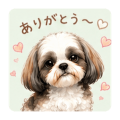 mofumofu studio_20260508174627