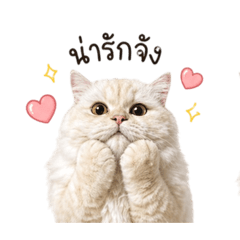 kwang_20260429220254