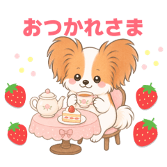 我是蝴蝶犬巧克力