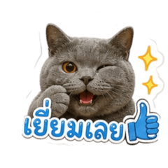 Hug_20260502105826