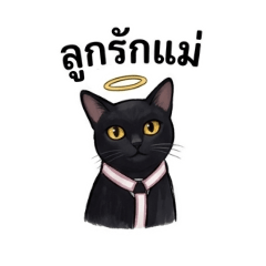 "Yuko" The Naughty Black Cat