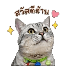 Natjikakibahjang_20260505224850
