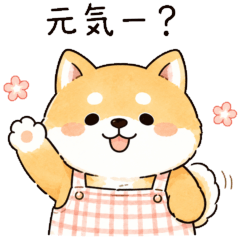 Mom Shiba From Home