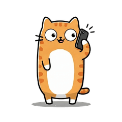 The Chubby Orange Tabby's Daily Life