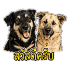 Thai Dogs "Nguen & Tang"