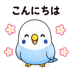 White and Blue Budgie Stickers2