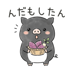 minamiside_20260508183407
