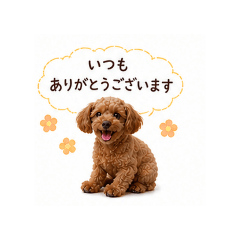 hidamari_20260508192759