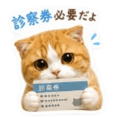 Moinyans HeartfeltVetSupportStickers