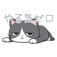 Salty Tuxedo Cat's Everyday Life