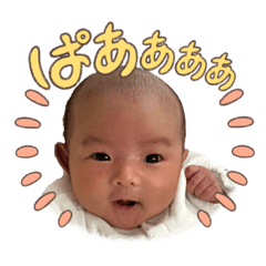 yuri_20260508213722