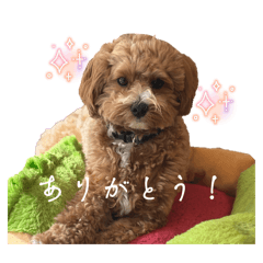 mai_20260508214405