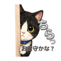 kyopy_20260508214339