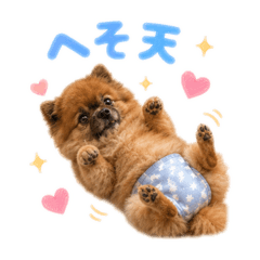 izumi_20260509022542