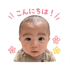 yama_20260509021932