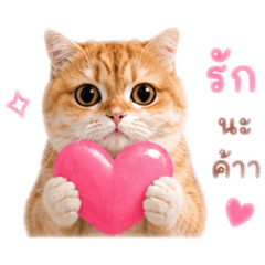 Romcha Studio_20260508221142