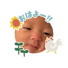 yupihapi_20260509023723