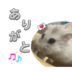 mi_mo_20260509024147