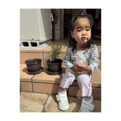 yuridad_20260509023710