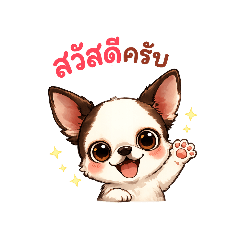 The Naught Chi