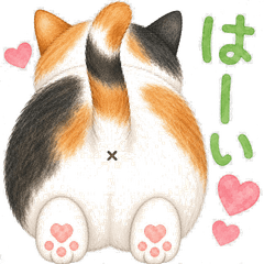Cat Butts Stickers