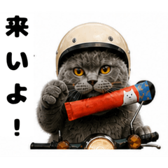 cat and ossan