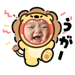renren_20260508183136
