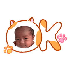 prepapa_20260508183345