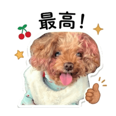 EBIN_20260508183524
