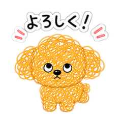 momomi_20260508183927