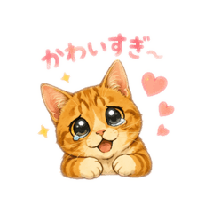 ティーちゃん①