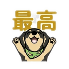 Kumiko_20260508183338