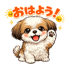Shih Tzu dog kotarou