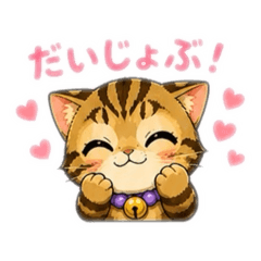 yuki._20260508184221