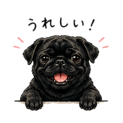 Daily Black Pug Daizu -Reactions1