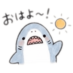 little shark@3
