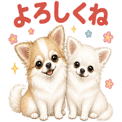 Choco  and  Vanilla