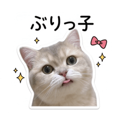 nyan lab_20260508210458