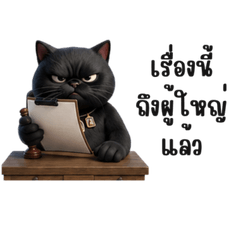 village headman cat V.2