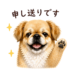 Uutare_20260508210315