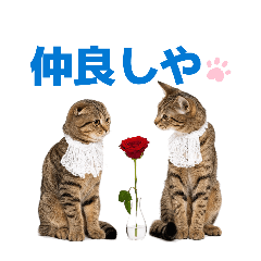 Tsubakuro_20260508211643