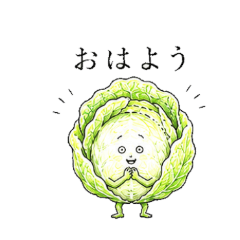 Sensitive Cabbage