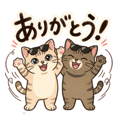 Cool Sunglasses Cats 2 Handwritten